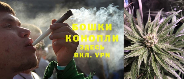 PSILOCYBIN Богданович