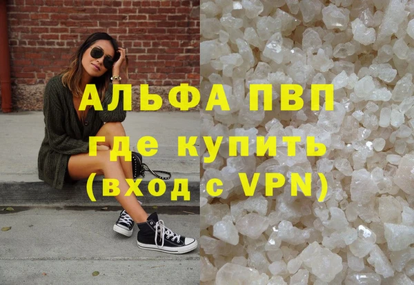 PSILOCYBIN Богданович